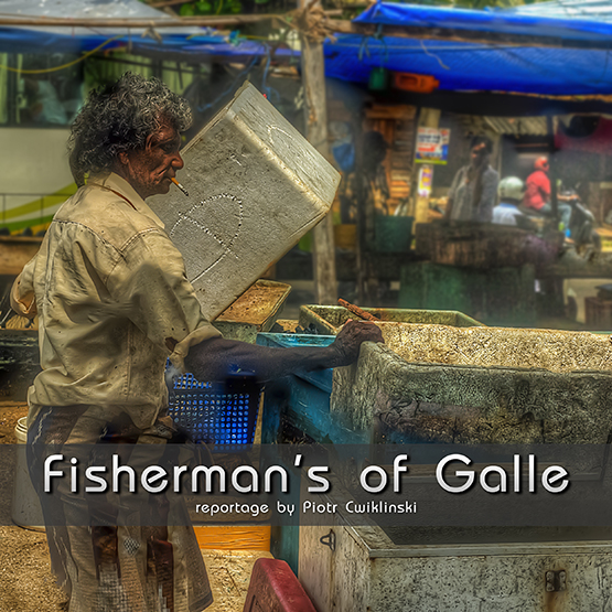 Fisherman's of Market by Piotr Cwiklinski