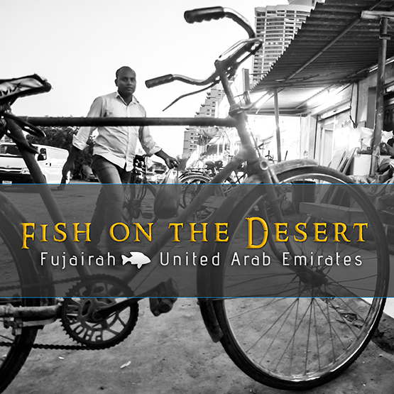 Fish on the Desert photography reportage from fish market